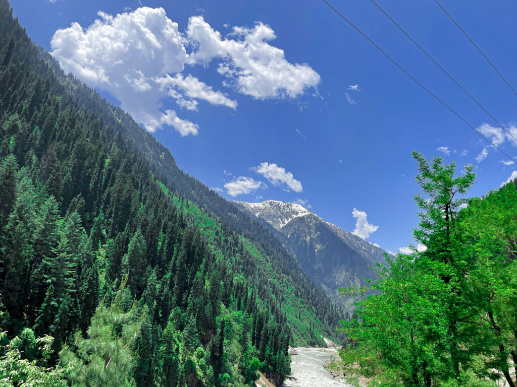 beautiful-view-rice-fields-lush-green-leepa-valley-kashmir-pakistan